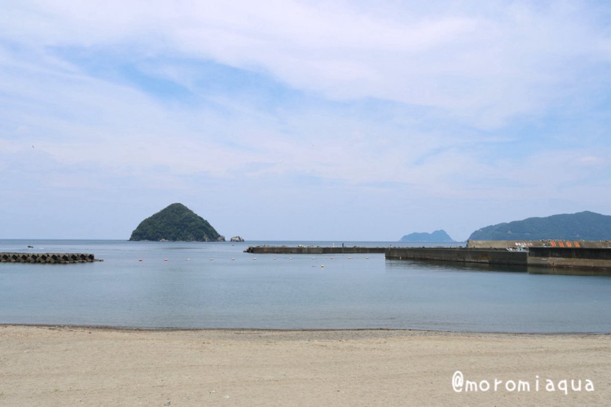 moromiaqua's tweet photo. 今日は福井県、#福井県海浜自然センター と愛知県、#シーライ��名古屋 へ行きました。
福井県の方は公共交通機関では到達が難しく、美浜駅からレンタサイクルで1時間強と中々。でも入館料無料で嬉しい。
シーライフ名古屋はレゴランドに隣接する施設のため、館内の随所にレゴがあって面白かったです。 https://t.co/eumkkui4Zs