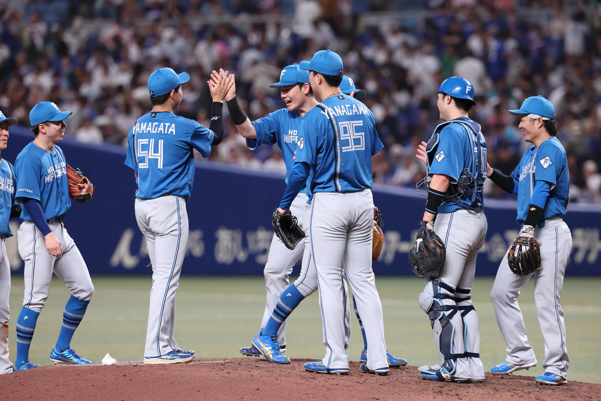 北海道日本ハムファイターズ　　ジャンバー 北海道日本ハムファイターズ スタジャン スタジアムジャンパー