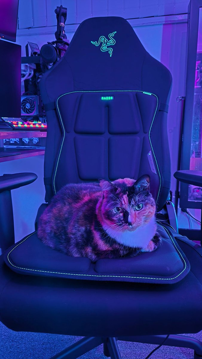 Important fact - Midna says this is the best seat in the house.
Also - how good do the <a href="/Razer/">R Λ Z Ξ R</a> Iskur V2 X and Freyja HD Haptics Gaming Cushion look together?