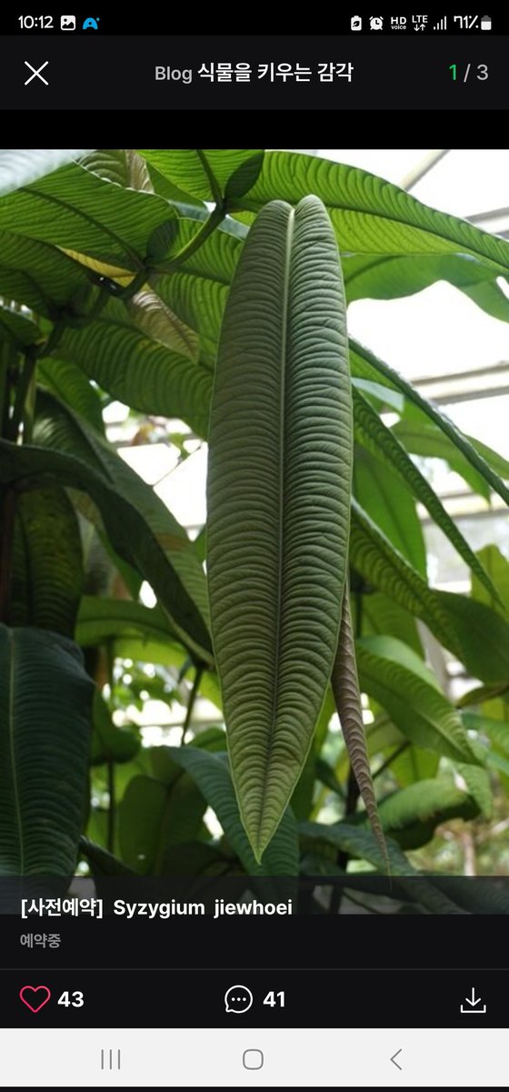 히히 사따 잘 키우고싶다!!!
성체까지 꼭!!!