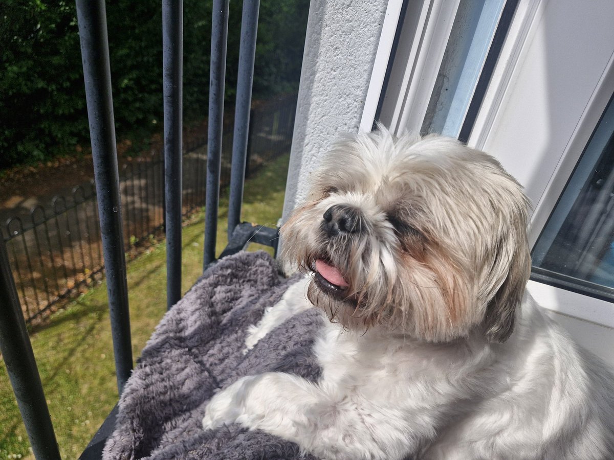 How rude my mum to take some of my door space! Keep safe today!