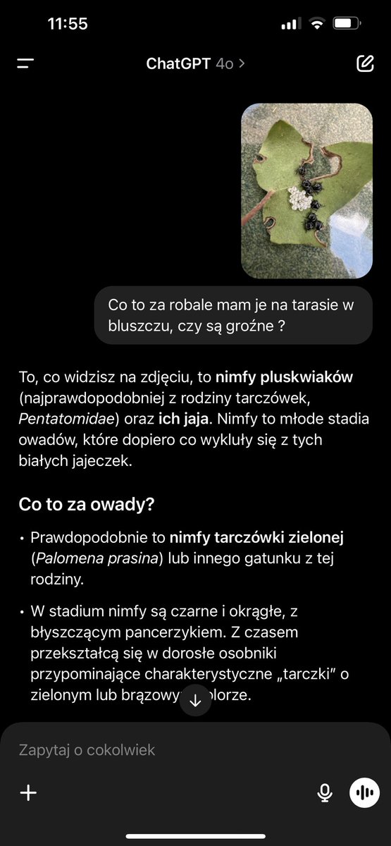 Co by człowiek zrobił bez sztucznej inteligencji