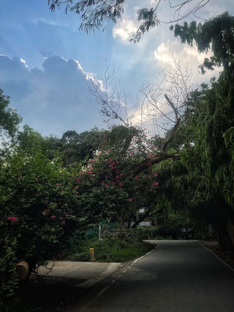 “JNUpaglu” 

— <a href="/simpcelle/">milky bhaiya</a>