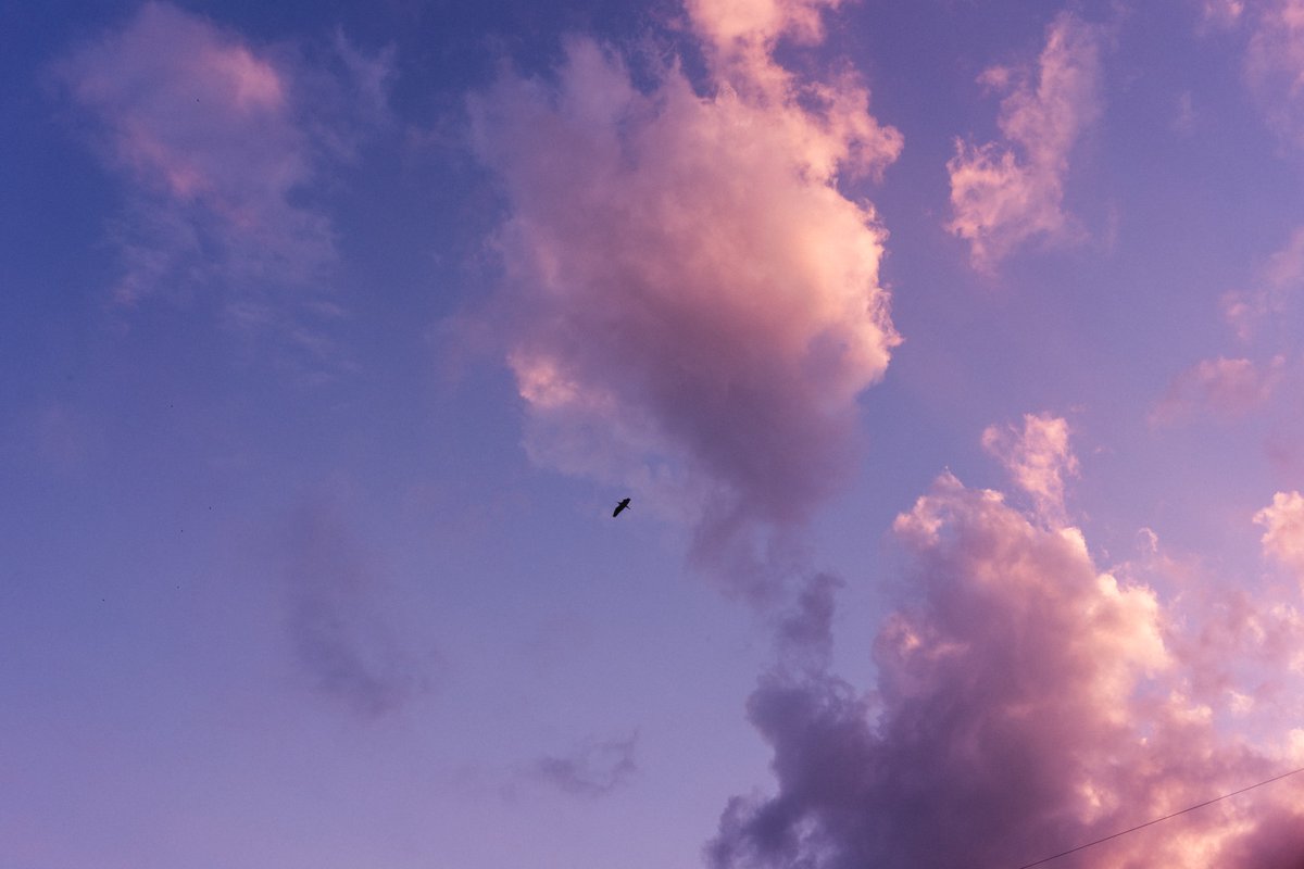 goricame_jp's tweet image. 何気ない風景がドラマチックに変わる.