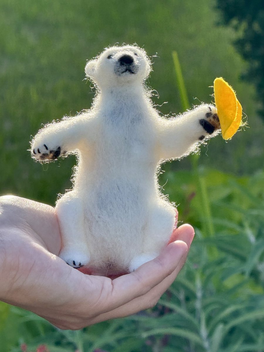 ホウちゃんは
ズーラシアで
お父さん🐻‍❄️
お母さん🐻‍❄️
弟くん🐻‍❄️に会えたね🐻‍❄️🟡✨

今日お会いできた
すべての方々に感謝します
楽しい一日でした
ありがとうございました
20250621