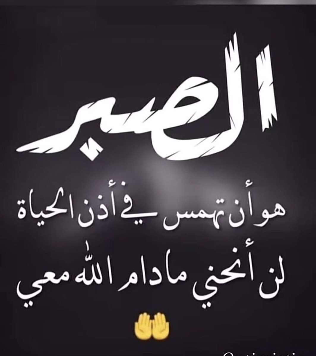 ZynbAlrfa's tweet image. 