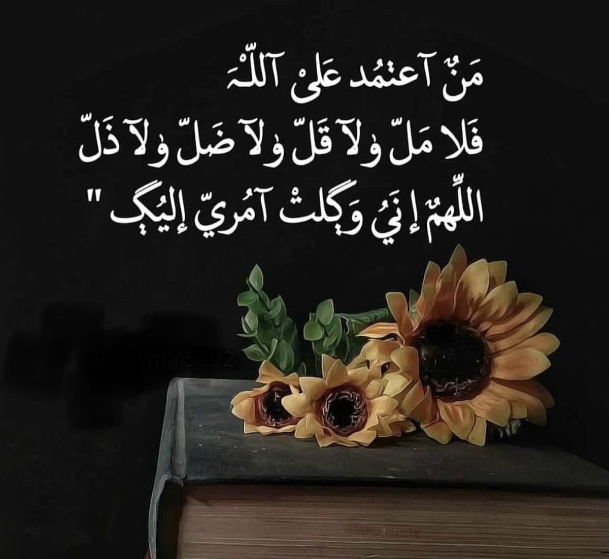 ZynbAlrfa's tweet image. 