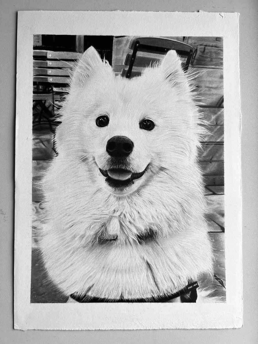 rapidodraws's tweet image. I’ve fallen on some very hard times and I’m in a tough place right now. I’m a self-employed artist and a fellow Wolverhampton wanderers supporter
 If you can, please consider commissioning me or buying some of my art. Any help at all would mean the world. Thank you 

#wwfc