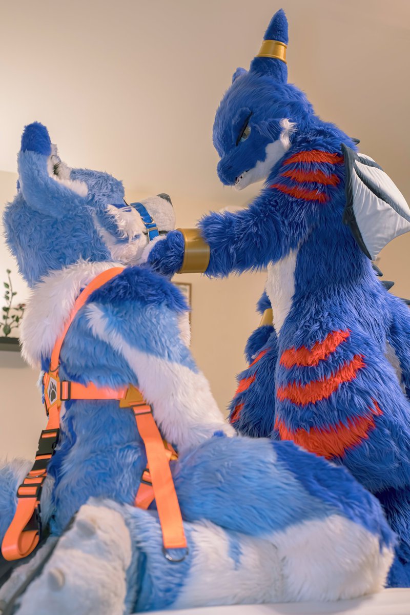 馴與被馴~
馴狼高手?
📸 Nuo Peng
<a href="/xFly_Dragon/">嵐.飛🍃アイ．フライ🔜UTFG</a> 
<a href="/Lyon_wolf115/">蒼狼月 UTFG</a> 
#FursuitEveryday