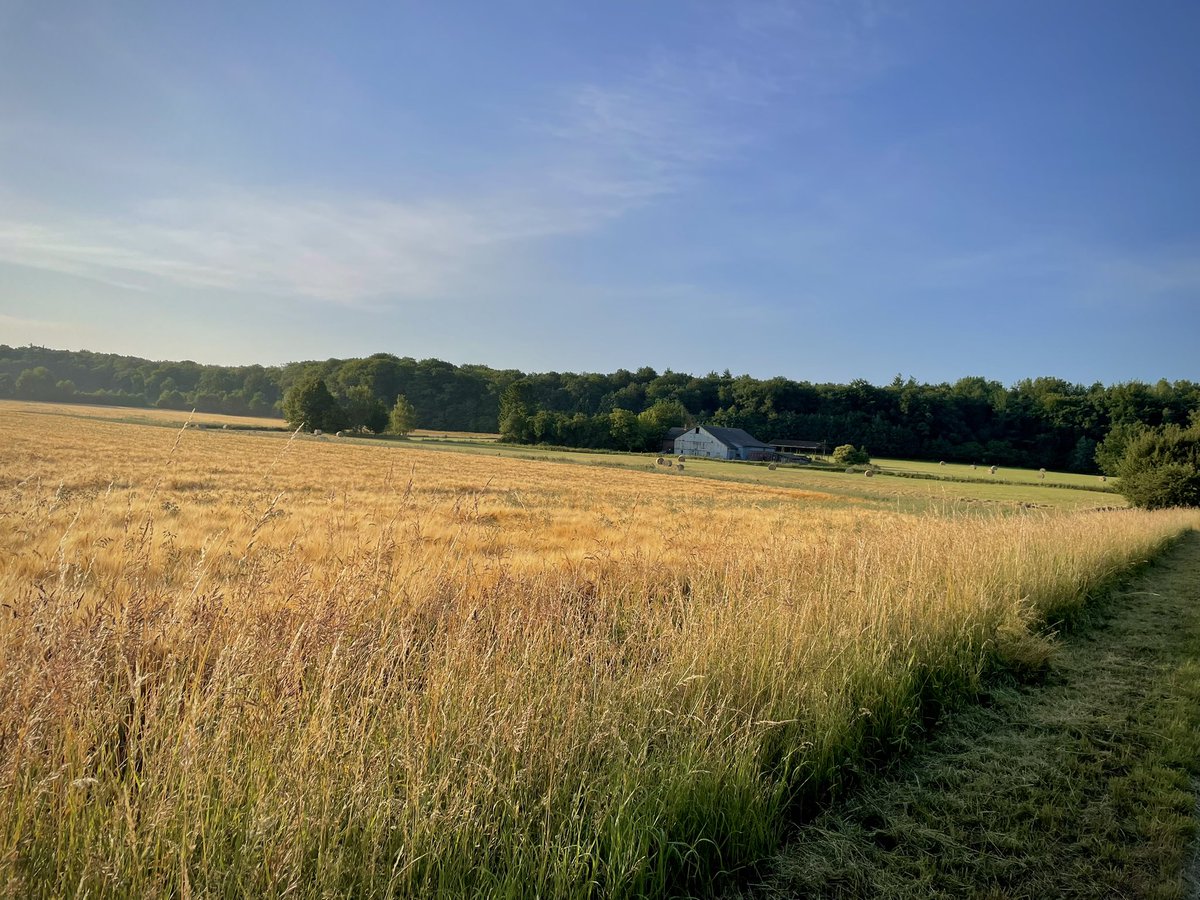 Out in the sticks today.