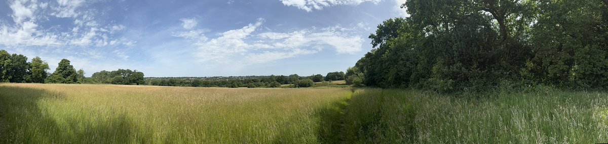 Sun makes everything a little bit easier to handle…