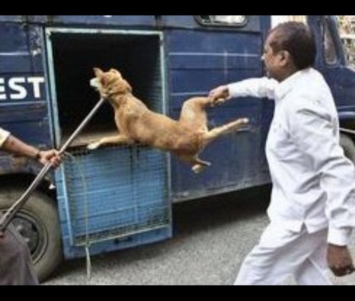 Prateek saini पालड़िया tweet media