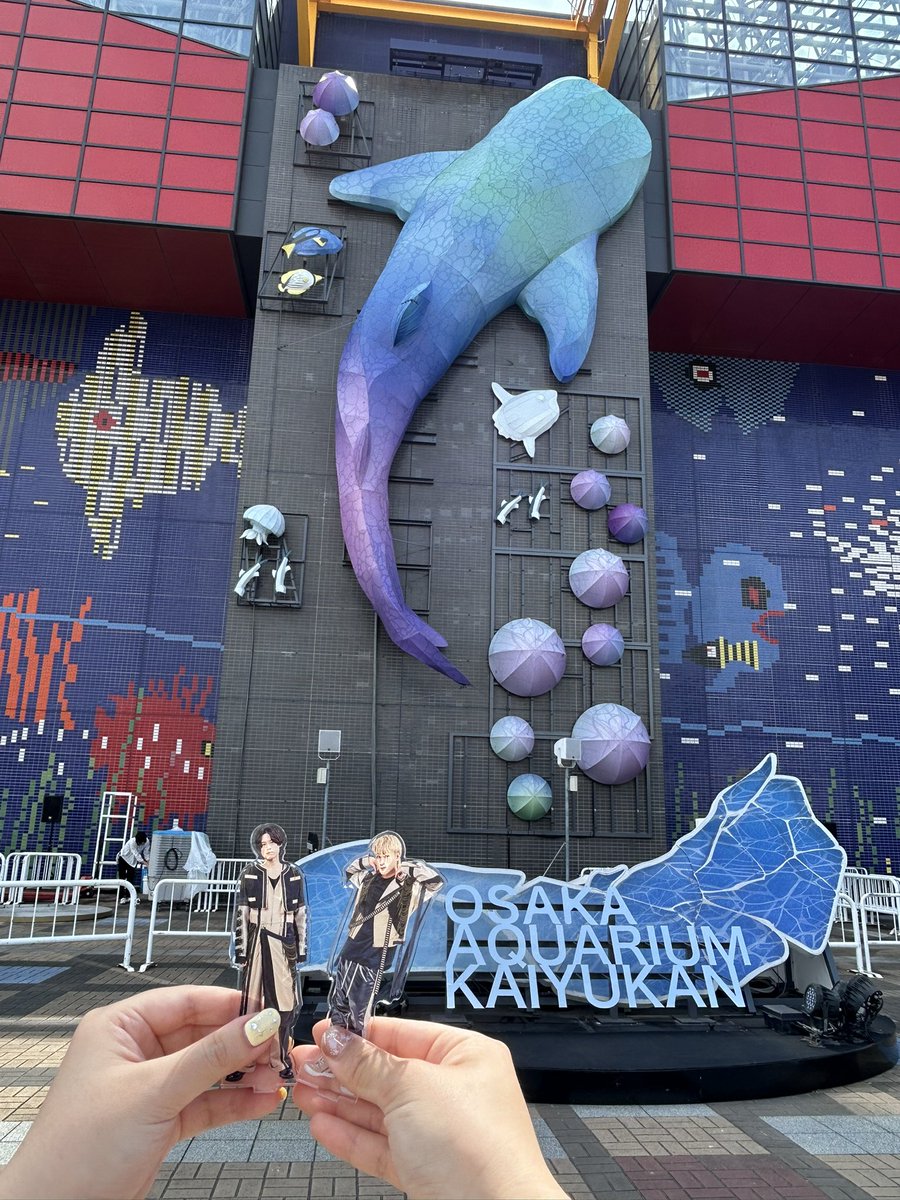 lilily0734's tweet photo. 6.21
バックヤードツアー楽しかった♩ジンベエソフトは夏の味がしました🍦🦈 https://t.co/KirBPT1uw3
