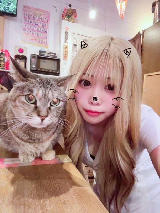 れいちょる✖️ネコ✖️コンカフェのツイート