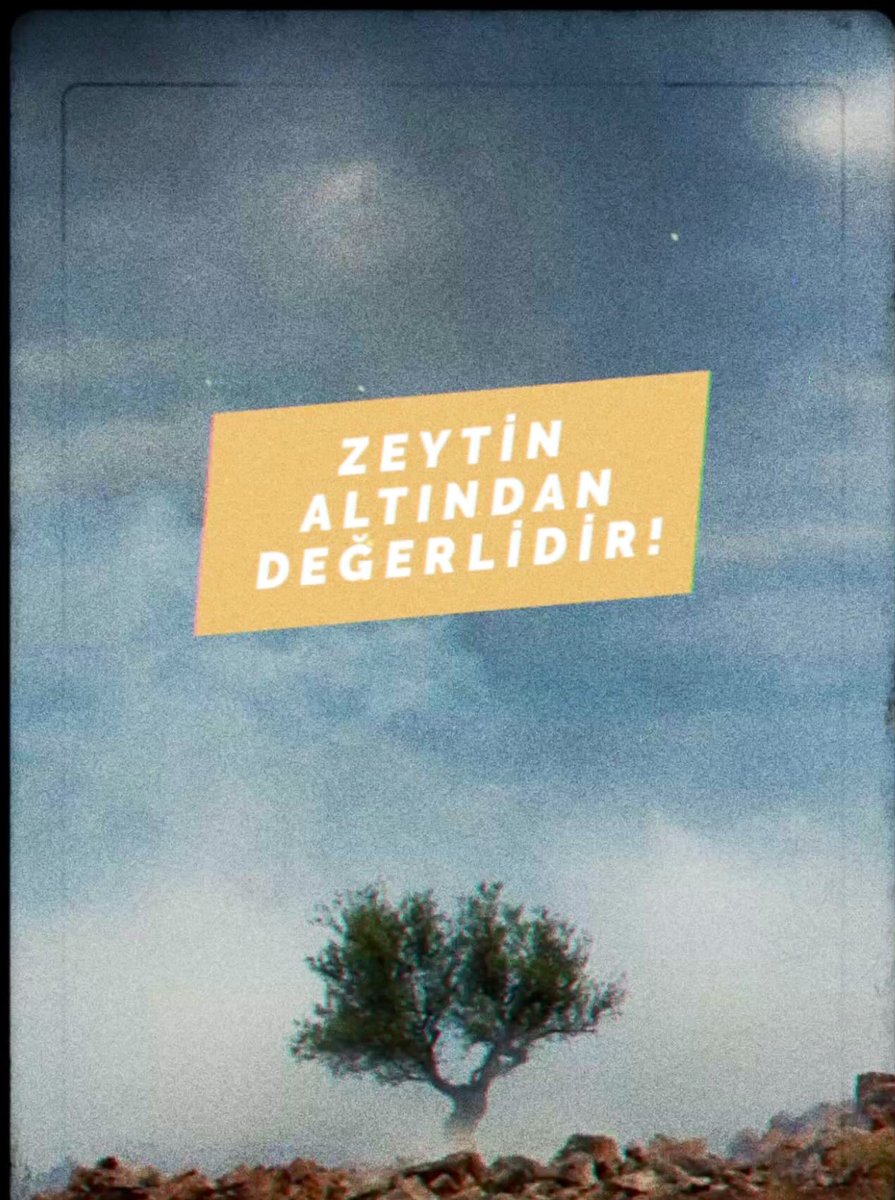 Zeytinime dokunma #zeytinlikleredokunma