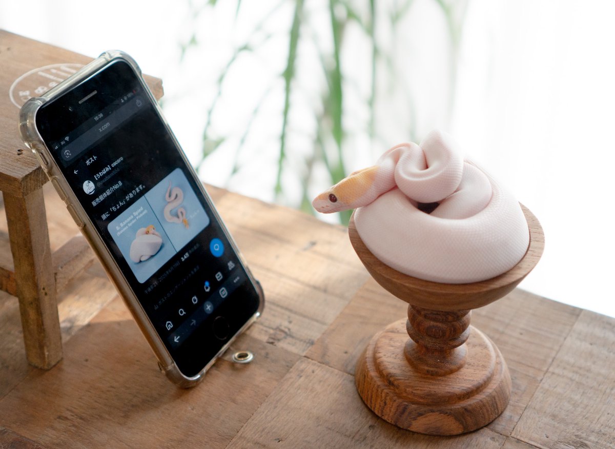 うわばみ】cocoro (@uwabami556) / Posts / X