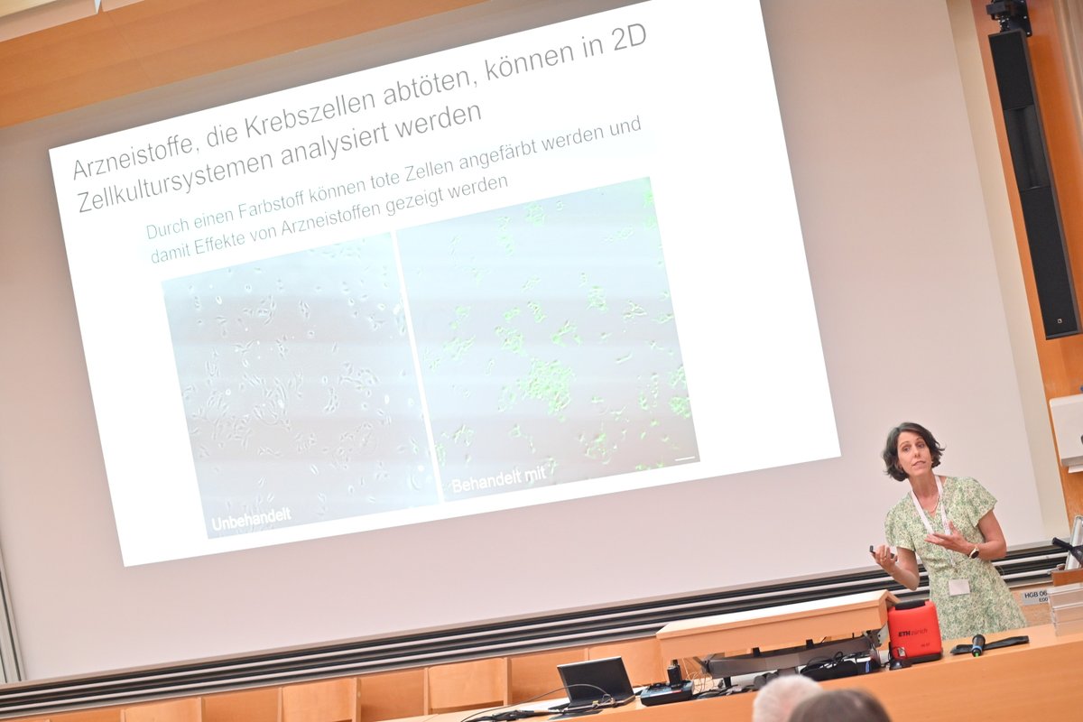 Swiss3RCC's tweet image. Wie entstehen Tumore – und wie lassen sie sich gezielt bekämpfen? Steffi Lehmann (@ZHAW ) nutzt 3D-Tumormodelle 🧠 und Zebrafischlarven 🐟 zur Erforschung neuer Immuntherapien.
#Swiss3RCC #Krebsforschung #3Rs #ZHAW #Zebrafisch #Tumorforschung