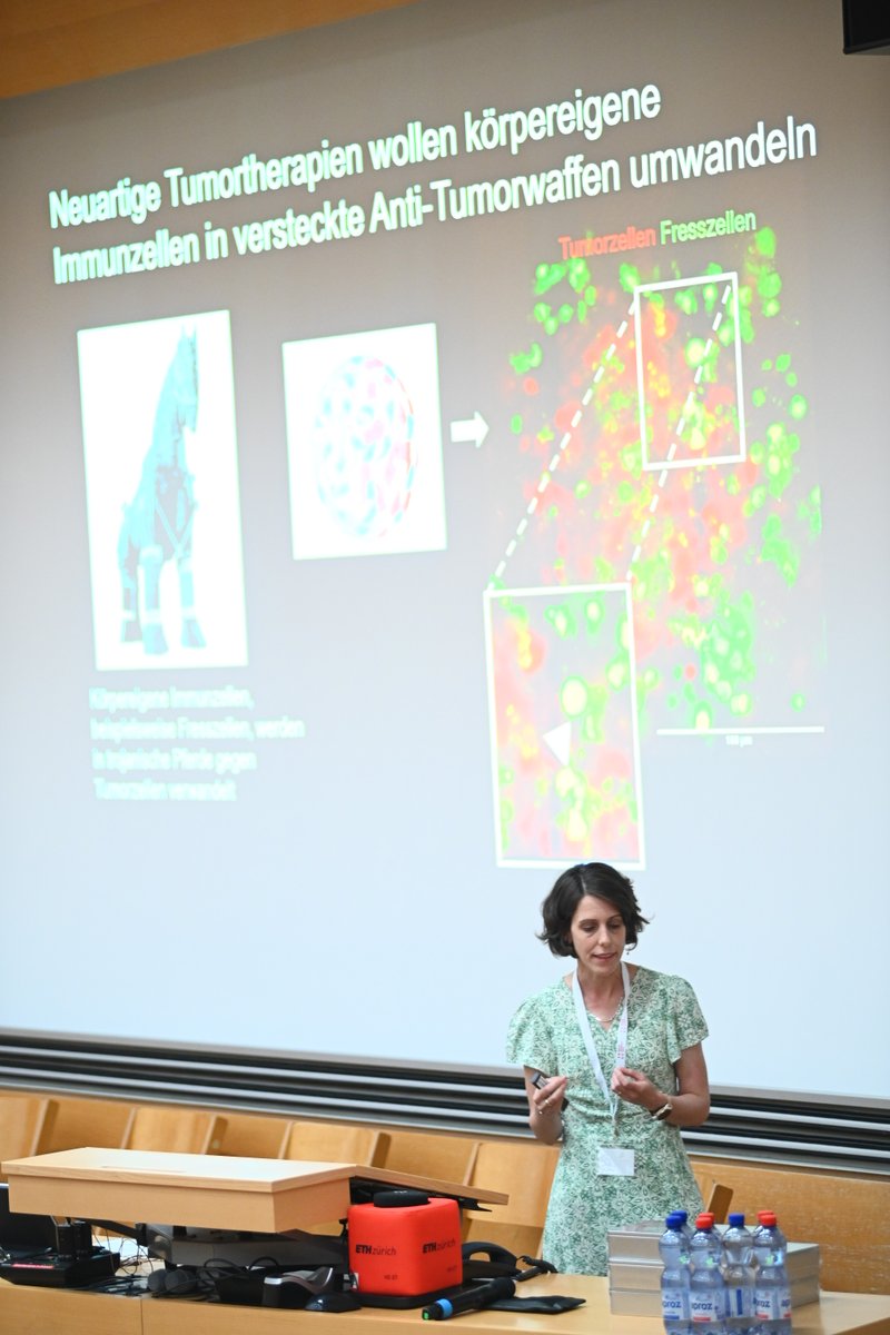 Swiss3RCC's tweet image. Wie entstehen Tumore – und wie lassen sie sich gezielt bekämpfen? Steffi Lehmann (@ZHAW ) nutzt 3D-Tumormodelle 🧠 und Zebrafischlarven 🐟 zur Erforschung neuer Immuntherapien.
#Swiss3RCC #Krebsforschung #3Rs #ZHAW #Zebrafisch #Tumorforschung