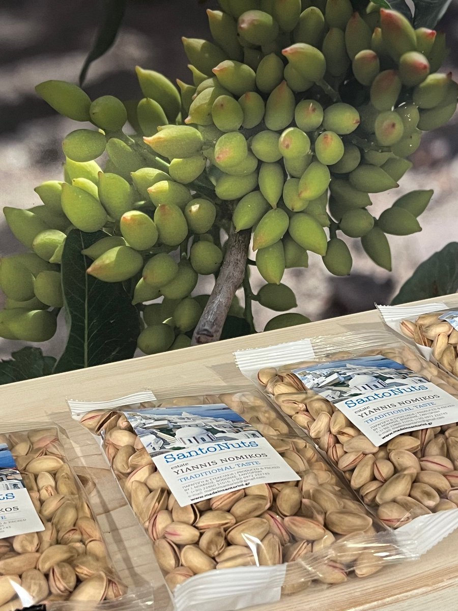 Now's a great time to sign up to my newsletter, because very soon there'll be #GreekFood, #books and other prizes to be won:
mailchi.mp/99543ad90bea/s…
#BookishEscapes #SummerReads #Santorini #ReadingCommunity #BookLovers