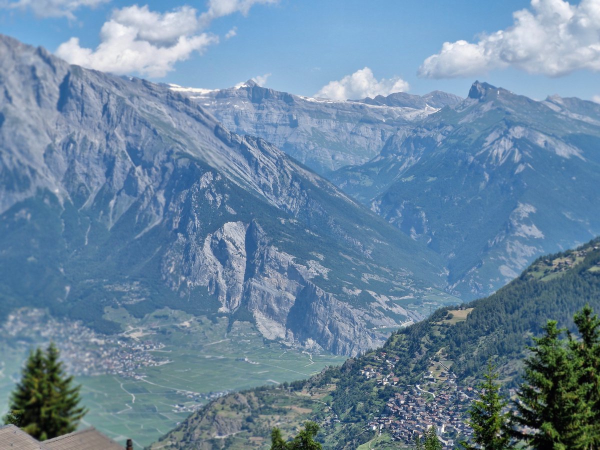 Stunning hike for our Gold D of Eers today. Plenty of fresh water drinking fountains and small streams for them to top up and some lovely shade in the forest.