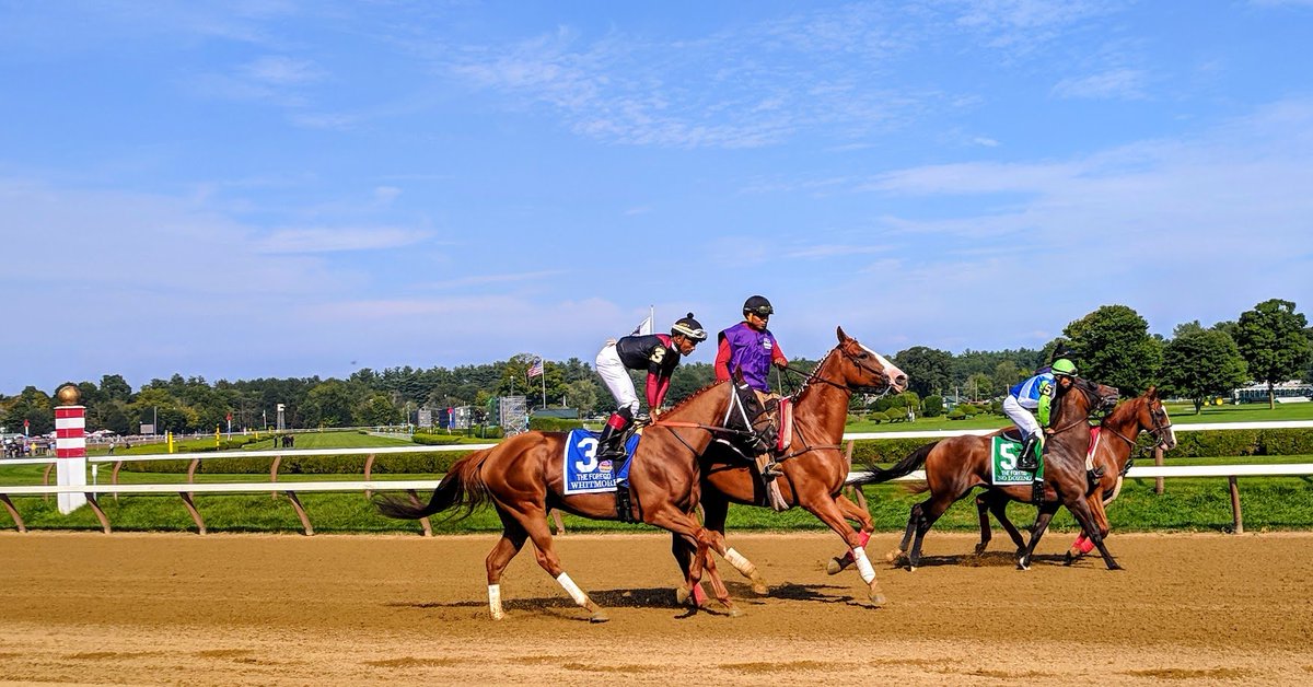 Saturday Pick4win.com picks are up!

#RoyalAscot🎩1-7
#BelmontAtTheBigA🌳1-11 w/PK5 PK4 &amp; PK3s

Closing Day at Ascot, 2nd half in NY has all the turf
Found lots of value, can't wait to play, lets gamble!

#ZJWins🍀#GotGrass🔥#HorseRacing
