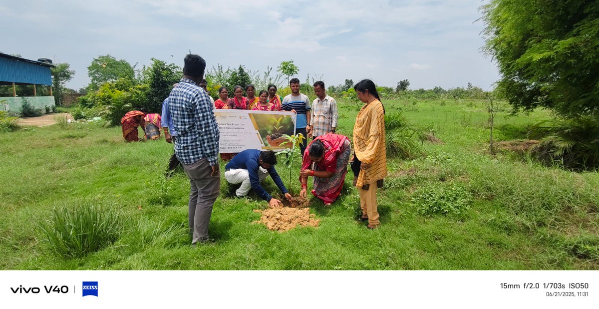 Today's plantation works under "Ek Ped Maa Ke Naam Abhiyan" in MCC,MRF at Bijepur NAC in the presence of Executive Officer, Chairperson, all staff, SHG members &amp; swachhasathi