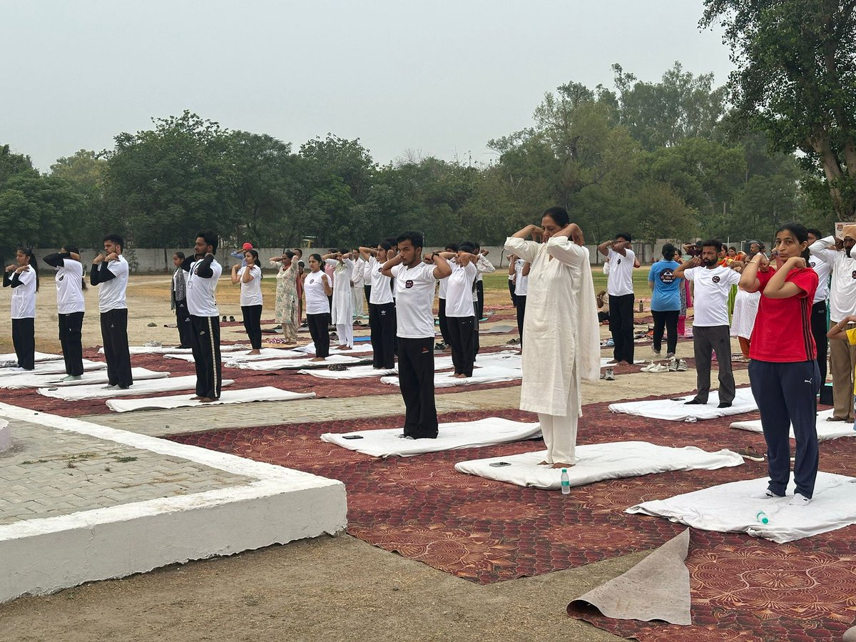 SukhRajput001's tweet photo. Unroll the mat, unwind the mind. Happy Yoga Day!
@BhagwantMann @msisodia @AAPbalbir @KamleshMSU 
#CMDiYogshalaIDY20251 https://t.co/9PeE4kqzec