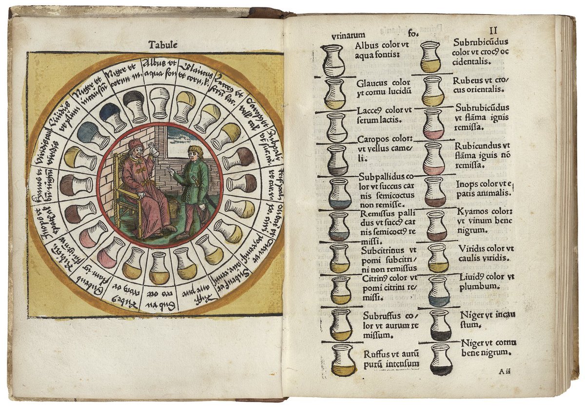 Medieval doctors created a "Urine Wheel" with 20 colors to diagnose every disease.

They literally tasted patients' pee to determine illness.

Modern science now proves they were detecting gut health through urine chemistry.

Thread 🧵