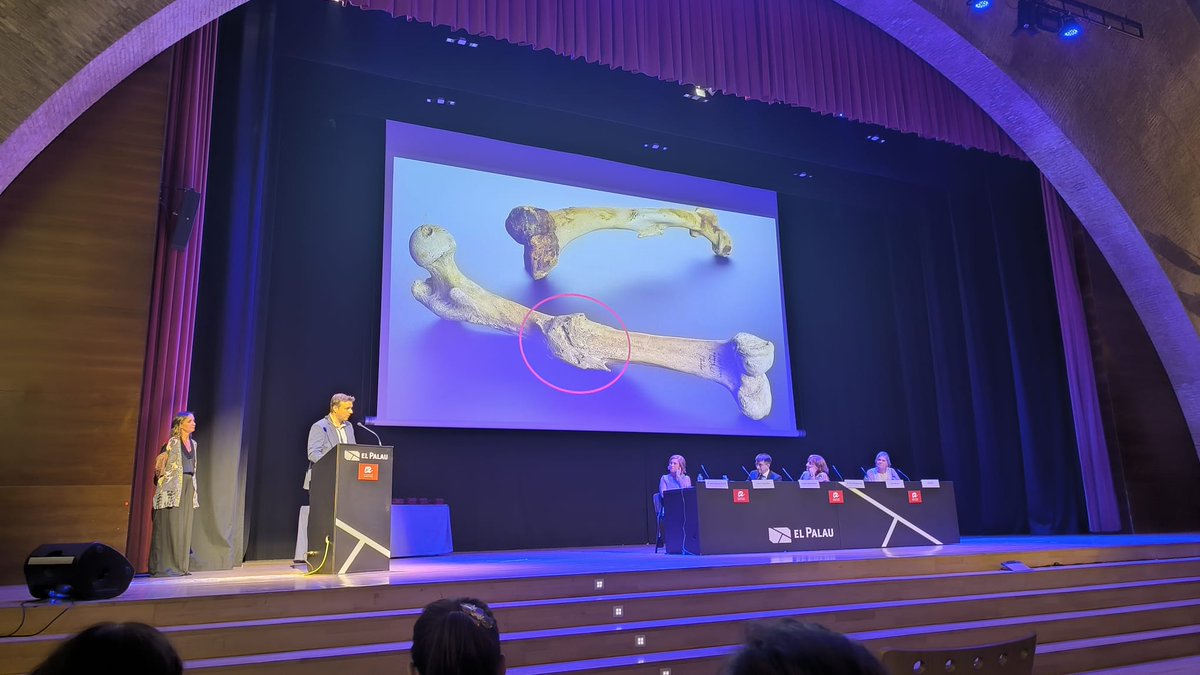 jbarceloprats's tweet image. Ahir vaig tenir l&apos;honor de ser el co-padrí de la 13a promoció del Grau d&apos;Infermeria del Campus Catalunya @universitatURV. Molt agraït de poder compartir un acte replet d&apos;emocions amb els flamants graduats/des i llurs famílies. Molta sort i encerts en la nova etapa professional!