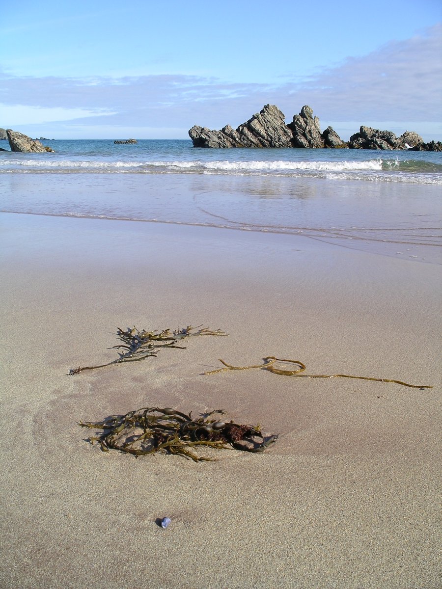 #gallery365in2025dailyprompt #gallery365in2025everydaymusic 
Incalculable   (Another shot of arena)

I am hanging in the balance of the reality of man
Like every sparrow falling, like every grain of sand
Bob Dylan