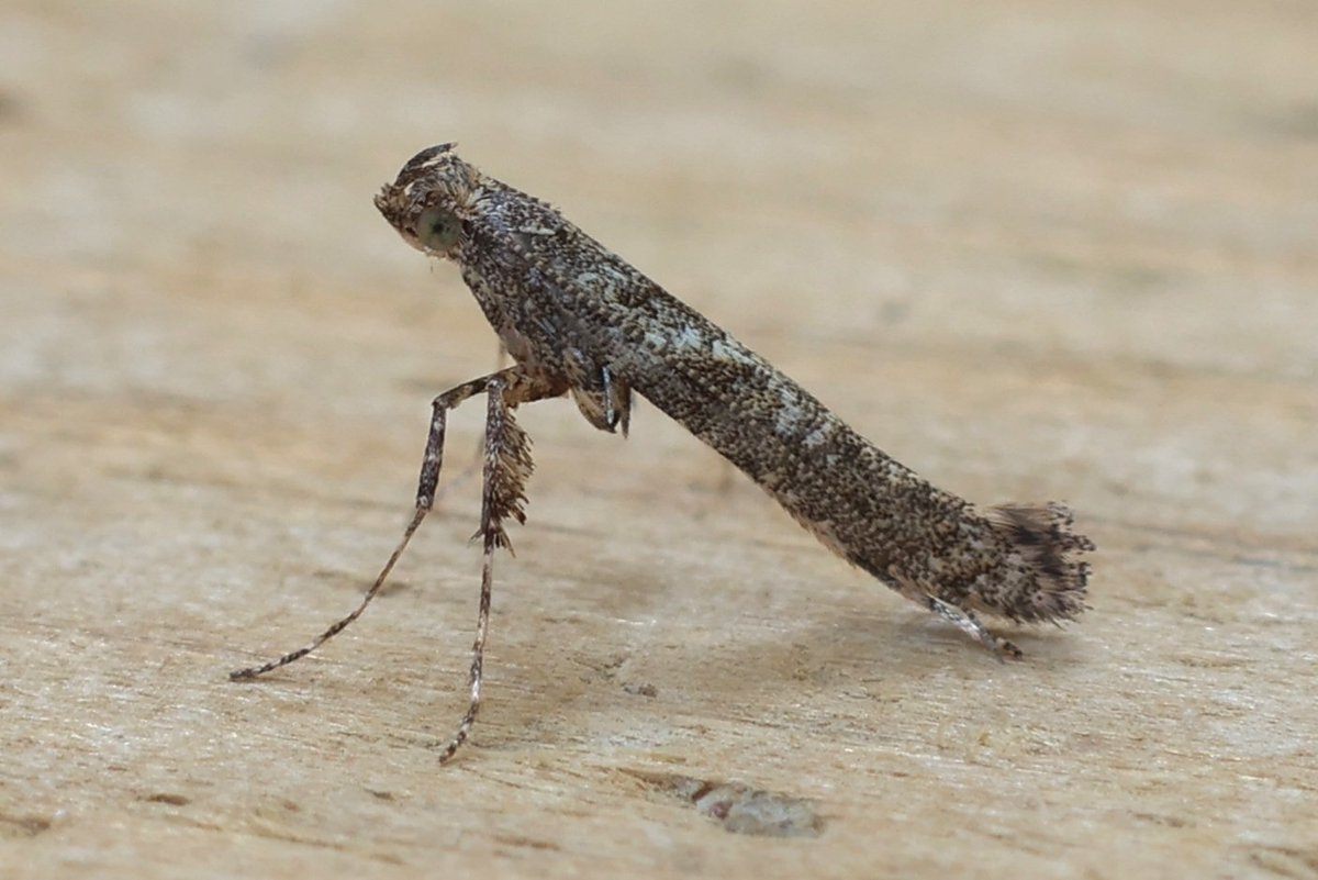 Jeremy Lindsell tweet media