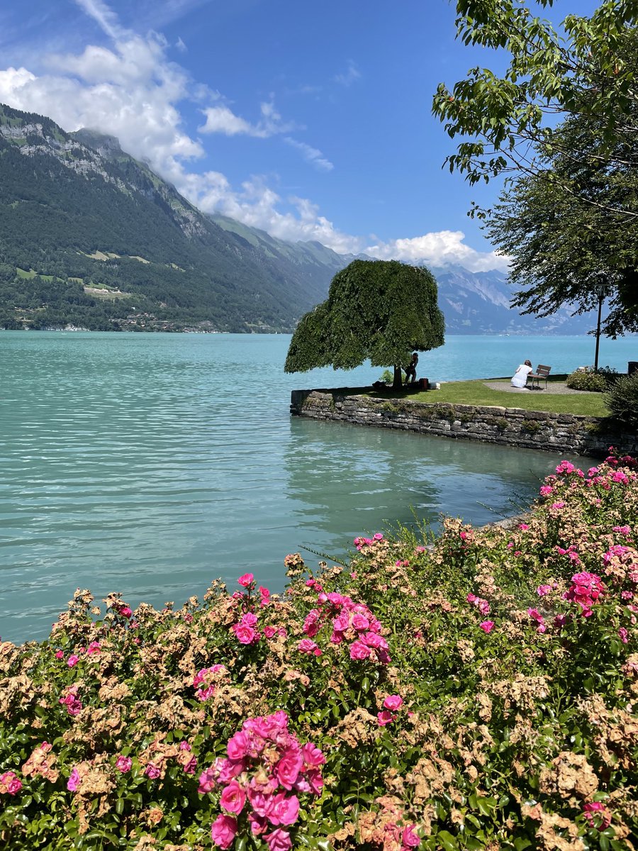 Swiss lake in June last year #swimming