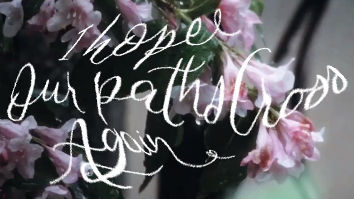 jay tweet media