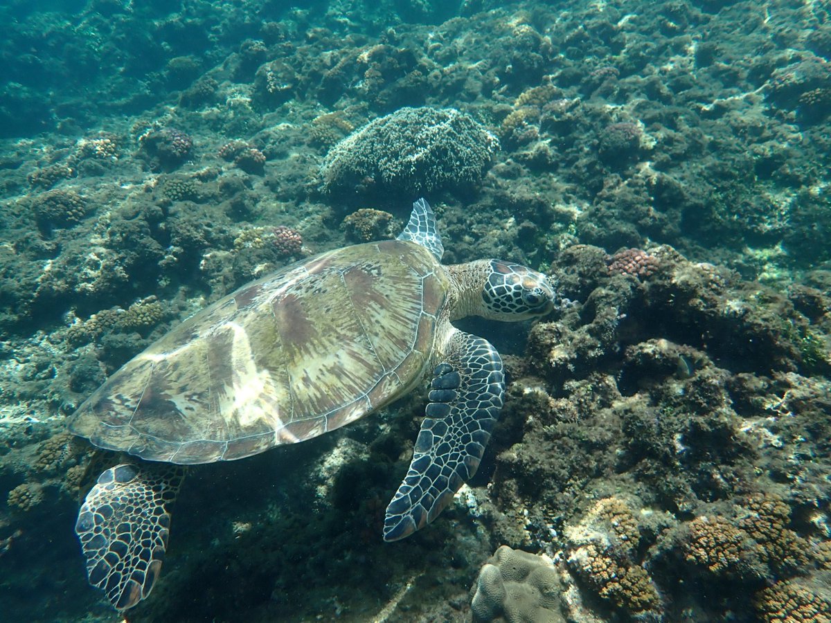 這種摸一次要30萬💰，我的不用喔😝