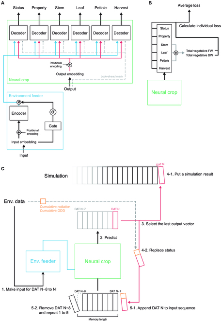 New DeepCrop model uses deep learning for hydroponic sweet peppers. It's highly adaptable, efficient, and accurate. Could replace traditional models for complex ag systems! #CropModeling #DeepLearning #Agriculture 
Details: doi.org/10.34133/plant…