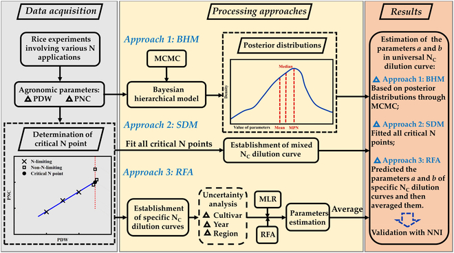 10-year study establishes universal critical N dilution curves for Japonica rice using SDM, RFA, and BHM. These models simplify N diagnosis, maintain accuracy, and boost regional application. #Agriculture #NitrogenManagement
Details: doi.org/10.34133/plant…