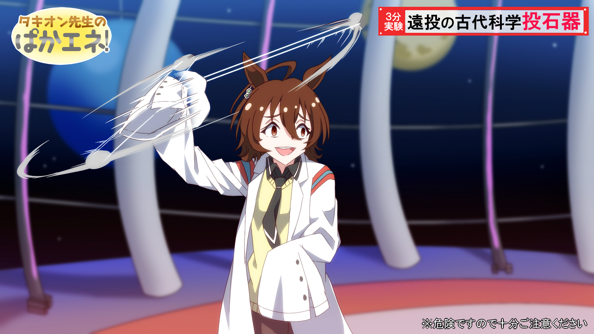 nekomaru様 ご専用 シール - メルカリ