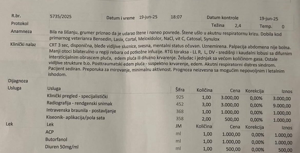 Milan Vujić (@milans__) on Twitter photo Upozorenje za vlasnike pasa:
Štene Tilly (3 meseca) prema navodima na Instagramu ubijeno u salonu Alek GroomingLand (Beograd). Grumer Miletić priznao je da je udarao kuče. Izveštaj potvrđuje brutalnost. Slika povreda kučeta bih vas poštedeo.
Izvor: Instagram | emily_leo__ Upozorenje za vlasnike pasa:
Štene Tilly (3 meseca) prema navodima na Instagramu ubijeno u salonu Alek GroomingLand (Beograd). Grumer Miletić priznao je da je udarao kuče. Izveštaj potvrđuje brutalnost. Slika povreda kučeta bih vas poštedeo.
Izvor: Instagram | emily_leo__