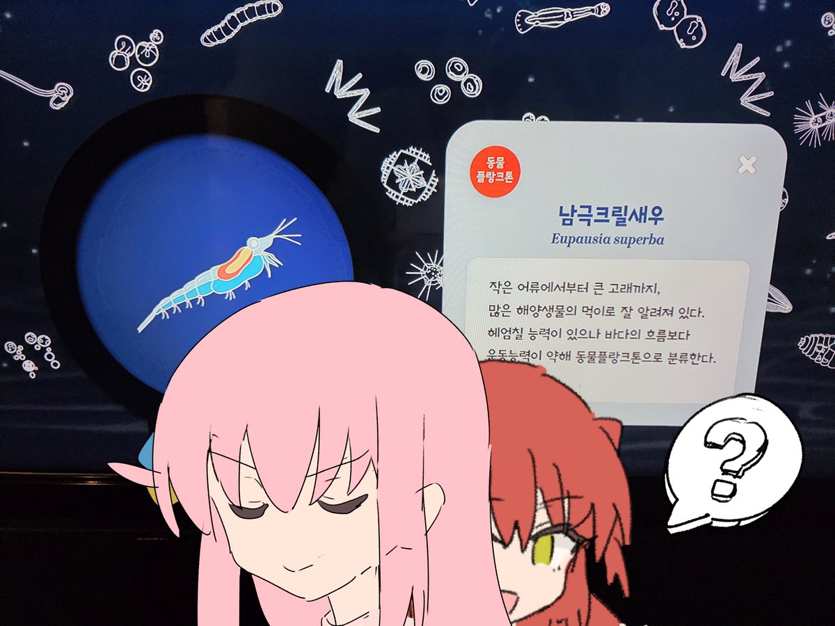 Krill_nanoo's tweet image. 남극크릴새우
Euphausia Superba
작은 어류에서부터 큰 고래까지,
많은 해양생물의 먹이로 잘 알려져 있다.
헤엄칠 능력이 있으나 바다의 흐름보다
운동능력이 약해 동물플랑크톤으로 분류한다.
🩷 : ( ...Eupausia는 오타겠지... 근데 말하면 내가 너무 예민해 보일 거야...)