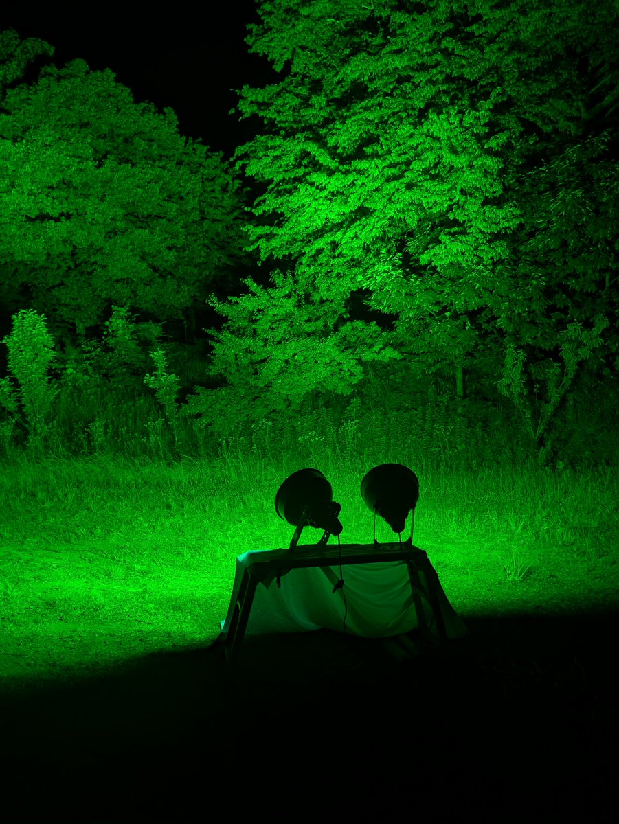 とーかさいしゅーりべんじ