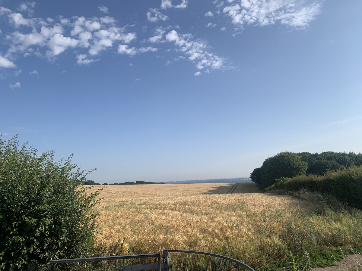 Training walk today ahead of my Mighty Hike in Sept. Started at 5.50am as I knew it would be hot. Aiming for 12 miles but pushed onto 15 (15.3 to be exact). Chuffed with that. If you fancy sponsoring me then please follow link click.contact.justgiving.com/?qs=05ea403f1d…