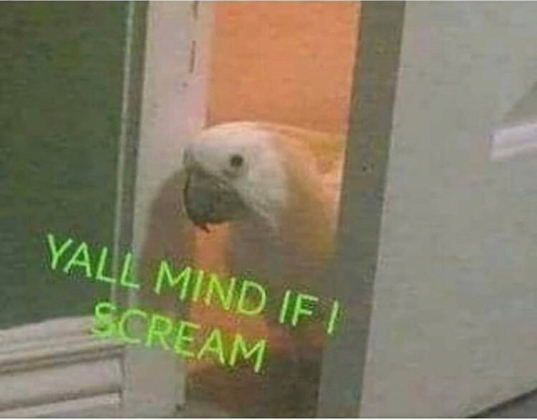 Hey folks - let this serve as your friendly reminder to take back ups of your important documents and files. ✌️

Signed sincerely, the guy who almost lost his 58 page, 16,000 word final assignment for his masters degree, which led to a full comprehensive mental breakdown 🙂