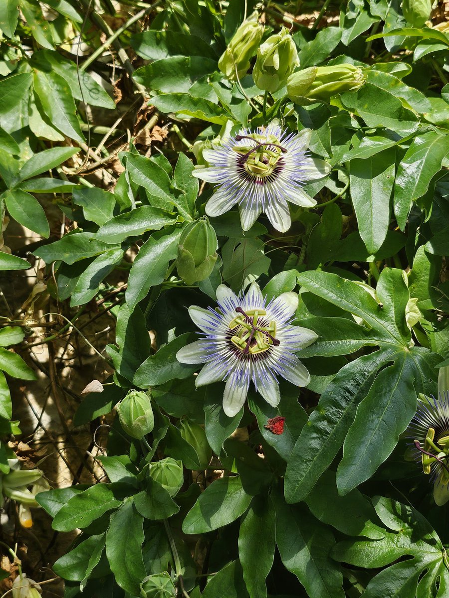 <a href="/pipapipia/">Pipapipia</a> 😊