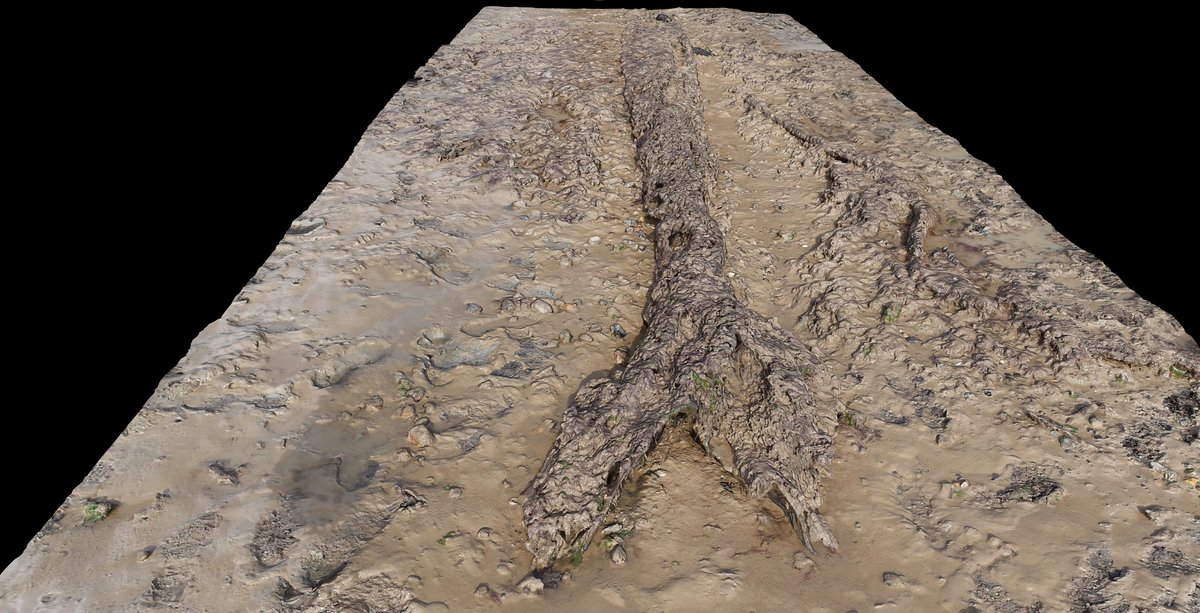 Ancient land surface being reveled as the marine sediments are moved along.