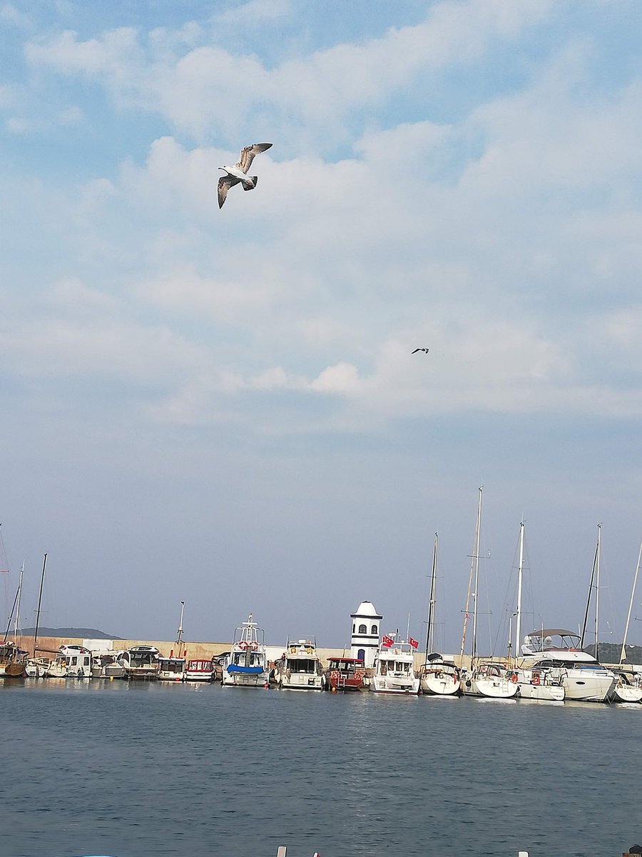 "Bin harf bir araya gelip bir gemi olsa...Mana rüzgãrı esmedikçe,eşrefi mahlukat hakikat denizini geçemez..."