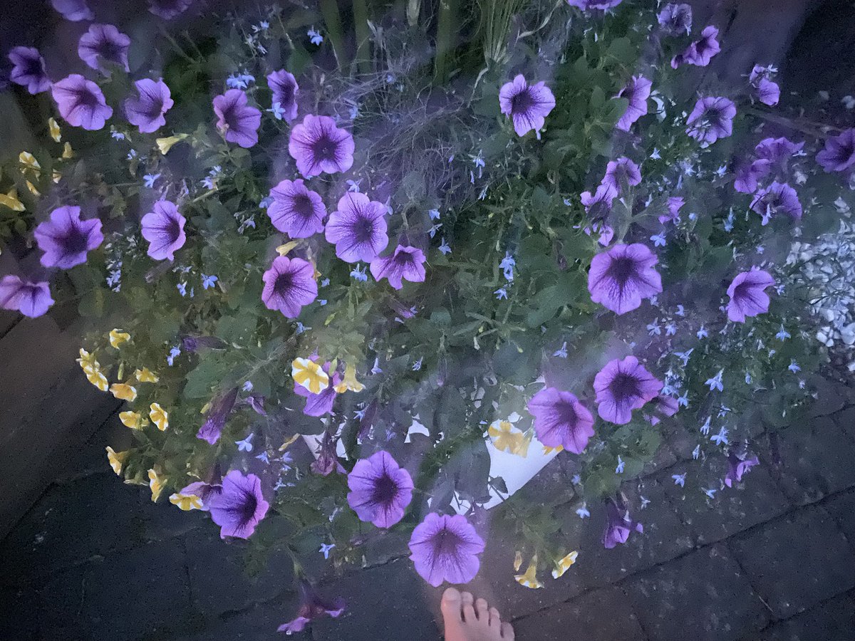 Pay no attention to the toes.
Watering day.