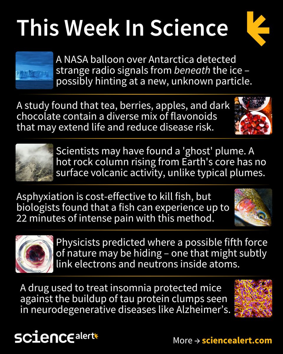 ScienceAlert's tweet image. This Week In Science (June 15–21)🧪

Strange signals under ice, a ghost plume, a fifth force, and much more!

#ScienceNews #ScienceAlert #STEM #ThisWeekInScience #TWIS