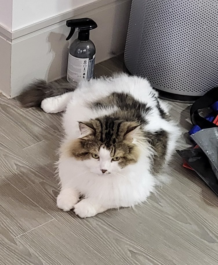 벌써 토요일이 끝나가다니!