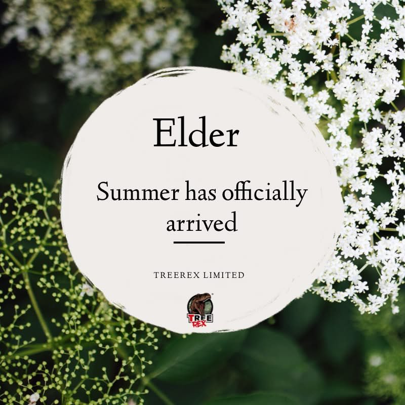The very essence of summertime 😎