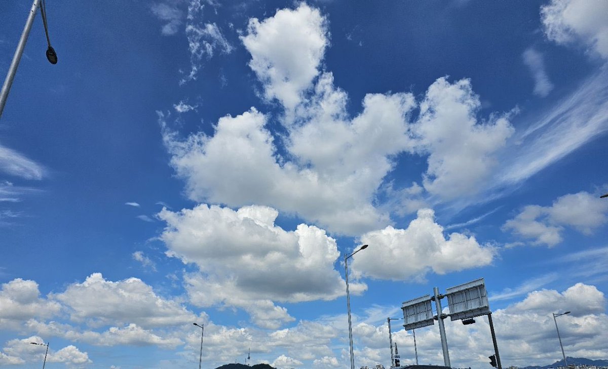 원상이가 보여주는 하늘이 좋음